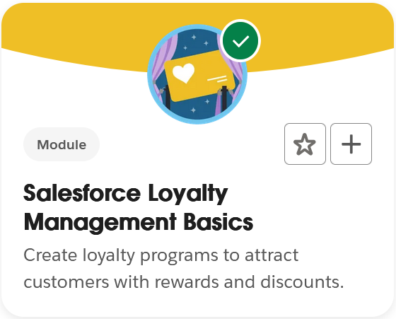 sfdc loyalty basics